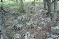 Farm and Ranch in Comal County, Texas