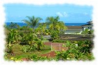 Timberland Property in Hawaii County, Hawaii