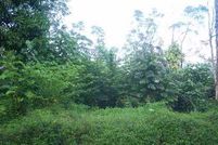 Land in Hawaii County, Hawaii