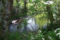 Land in Tillamook County, Oregon