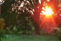 Land in Austin County, Texas