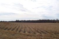 Farm and Ranch in Aiken County, South Carolina
