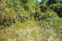 Farm and Ranch in Cass County, Texas