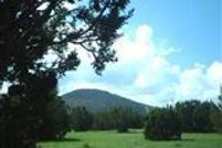 Farm and Ranch in Coconino County, Arizona