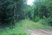 Land in Surry County, North Carolina