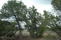 Farm and Ranch in Coconino County, Arizona