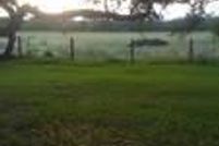 Timberland Property in Dewitt County, Texas