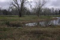 Timberland Property in Brazoria County, Texas