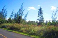 Timberland Property in Hawaii County, Hawaii