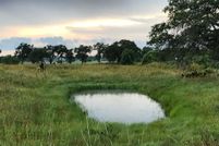 Land in Wilson County, Texas