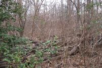 Farm and Ranch in Smith County, Texas