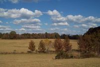 Farm and Ranch in Jefferson County, Mississippi