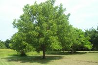 Farm and Ranch in Kaufman County, Texas