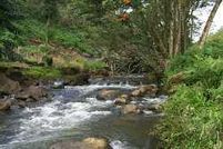 Farm and Ranch in Hawaii County, Hawaii