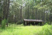Land in Levy County, Florida