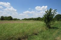 Farm and Ranch in Grayson County, Texas