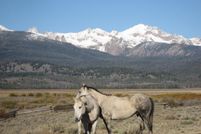 Land in Custer County, Idaho
