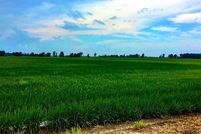 Hunting Property in Clay County, Arkansas