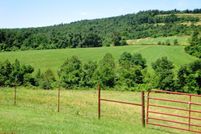 Farm and Ranch in Carroll County, Arkansas