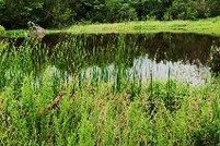 Farm and Ranch in Fannin County, Texas