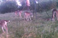 Recreational Property in Hamilton County, Texas