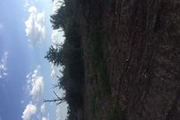 Farm and Ranch in Caldwell County, Texas