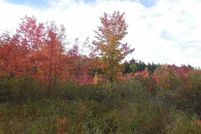 Farm and Ranch in York County, Maine