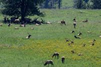 Riverfront Property in Union County, Oregon