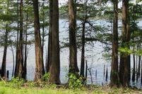 Timberland Property in Wilkinson County, Mississippi