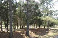 Land in Darlington County, South Carolina