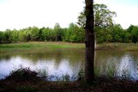 Land in Wood County, Texas