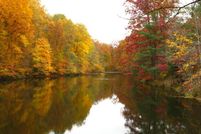 Land in Brown County, Indiana