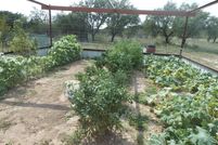 Farm and Ranch in Tom Green County, Texas
