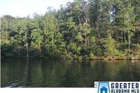 Undeveloped Land in Randolph County, Alabama