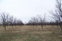 Farm and Ranch in Tom Green County, Texas