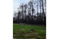 Farm and Ranch in Bastrop County, Texas