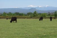 Farm and Ranch in Shasta County, California