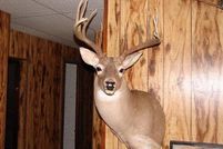 Farm and Ranch in Comanche County, Texas