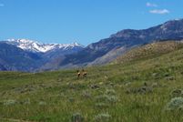 Farm and Ranch in Park County, Wyoming