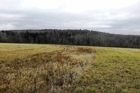 Undeveloped Land in Chenango County, New York