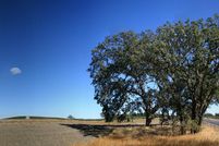 Timberland Property in San Luis Obispo County, California