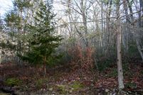 Timberland Property in Highland County, Virginia
