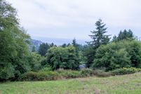 Timberland Property in Curry County, Oregon