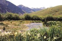 Land in Custer County, Idaho