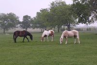 Land in Fannin County, Texas