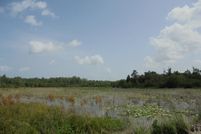 Timberland Property in Newton County, Texas