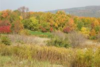 Farm and Ranch in Otsego County, New York