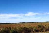 Farm and Ranch in Acadia Parish, Louisiana