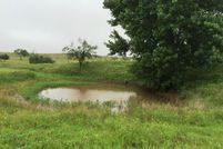 Farm and Ranch in Nolan County, Texas