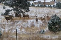 Land in Mora County, New Mexico